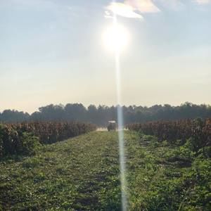 Meet your Posher, Mike